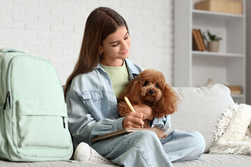 Teenage girl with cute Toy Poodle dog doing lessons on sofa at home