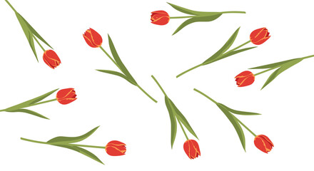 Obraz premium Scattered red tulip flowers with long green stems on a plain white background for elegant spring botanical card and poster designs.