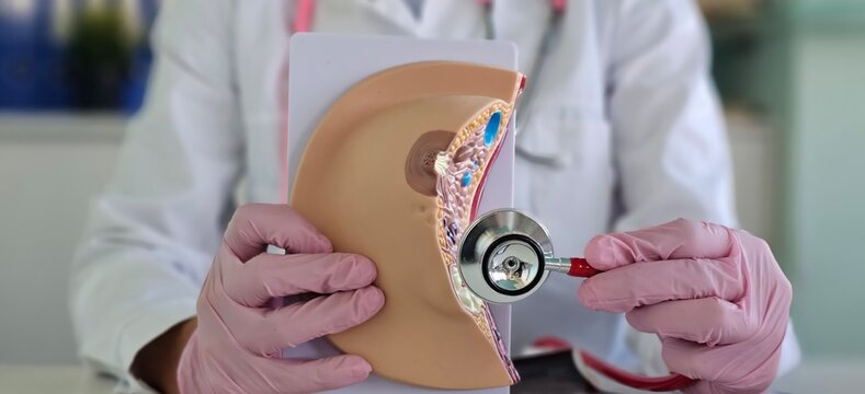 doctor puts stethoscope to realistic model of breast