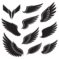 Fototapeta premium Set of detailed black bird wings isolated on transparent background