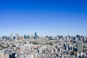日本東京の都市風景