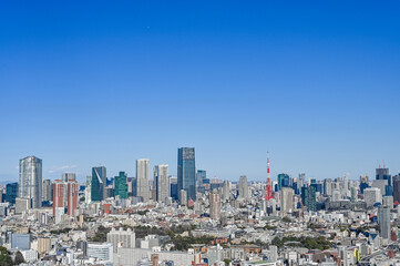 Obraz premium 日本東京の都市風景