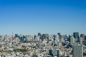 Fototapeta premium 日本東京の都市風景