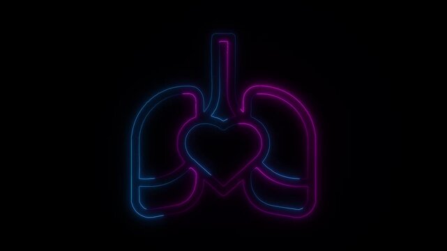 Neon Anatomy: The Lungs and Kidneys in Motion Breath and Life A Neon Exploration of Human Organs Glowing Pathways Neon Lungs and Kidneys Animation The Pulse of Life Neon Lungs and Kidneys in
