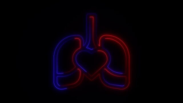 Neon Anatomy: The Lungs and Kidneys in Motion Breath and Life A Neon Exploration of Human Organs Glowing Pathways Neon Lungs and Kidneys Animation The Pulse of Life Neon Lungs and Kidneys in
