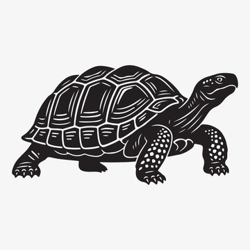 Tortoise silhouette