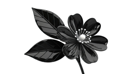 Glossy Black Flower with Leaves on White Background