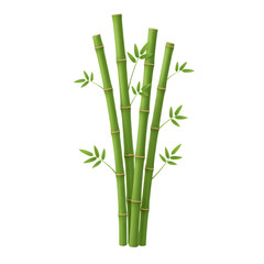 Obraz premium Bundle of fresh bamboo stalks