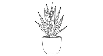 Detailed black and white line art of a snake plant in a ceramic pot for use as a coloring page or interior decoration.