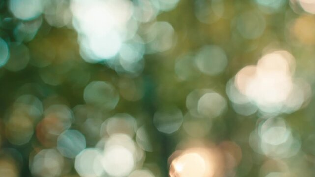 Abstract nature bokeh. Defocused green forest background with sunlight flickering through leaves during a tracking shot in slow motion. Soft light circles moving.