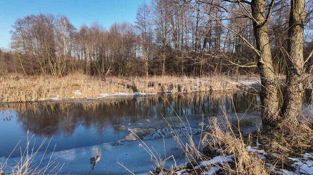 Winter and snow on the small Grabia River, Poland.