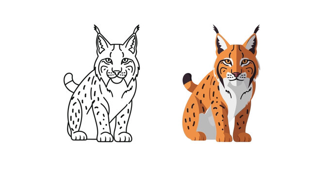 Illustration set featuring a detailed colored bobcat or lynx alongside a clean black and white outline version ready for coloring books or design