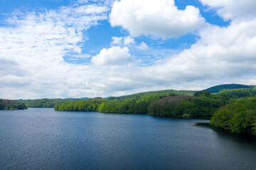 Fototapeta premium Wide view of a tranquil lake surrounded by dense green woodland and rolling hills under a sky filled with scattered clouds and soft sunlight.