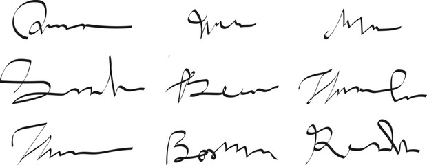 Collection of Various Handwritten Signatures