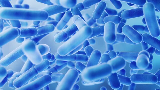 Close up animation of blue rod shaped bacteria cells moving in fluid