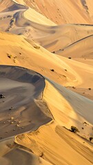 Golden sun illuminates sweeping curves of sand dunes in a vast desert