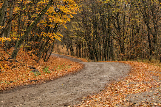 Scenic autumn forest road to Parz Lake in Tavush Armenia surrounded by fall landscapes, valleys, and natural terrain. Beautiful countryside travel route with remote scenery, outdoor nature  