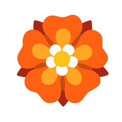 orange flower isolated on white