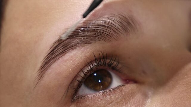 Woman during eyelash and eyebrow lamination in beauty salon, showing steps of foam application, brushing, tinting and styling. Close up of female eye, professional cosmetic treatment.