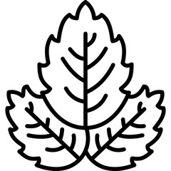 Basil Line Icon