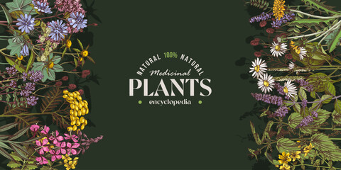 Medicinal plants and herbs banner © Marina Gorskaya