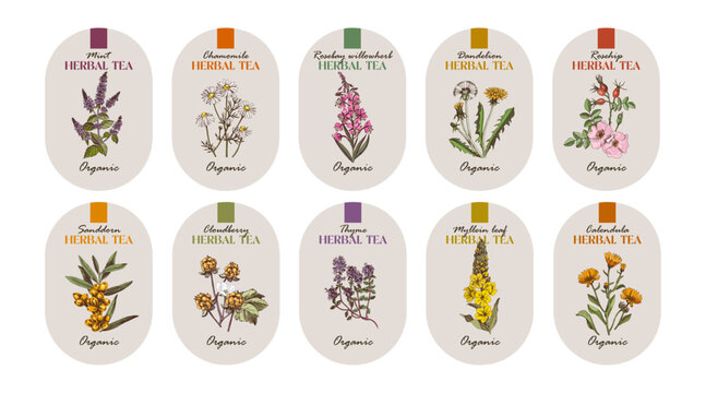Herbal tea vector labels collection
