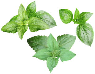 a dynamic arrangement of autumn maple leaves in various warm colors, including red, orange, and yellow, scattered on a transparent background.