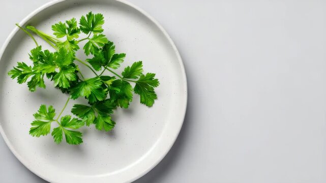 Fresh parsley sprig artfully arranged on a white plate, offering a vibrant pop of color against a clean backdrop