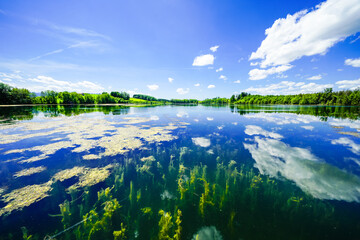 Fototapeta premium View of Lake Tinninger and the surrounding landscape. Idyllic nature at the moorland lake near Rosenheim in Bavaria. 