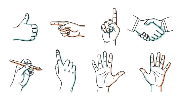 A collection of various hand gestures and positions, including thumbs up, pointing, holding a pen, and open palms, depicted in line art.