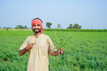 Happy Indian farmer showing chickpea crop at agriculture field