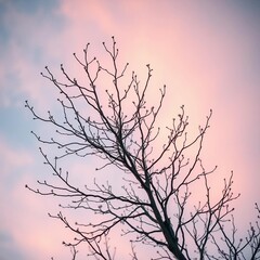 Fototapeta premium Whispers of dawn touch delicate branches reaching for a pastel sky, ethereal beauty, ethereal