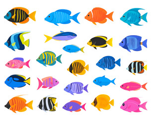 Fototapeta premium A collection of cute cartoon illustrations featuring colorful tropical fish and aquatic creatures swimming against a white background