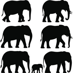 Black elephant silhouette set with walking poses showing adult and baby elephants isolated on white background wildlife vector illustration © Creative Asif