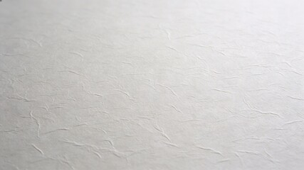 Obraz premium Textured Off-White Paper Background for Design