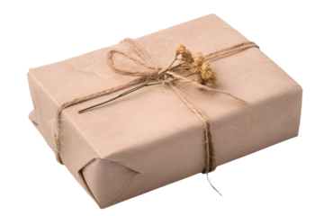 Rustic wrapped gift box in brown paper with twine and wheat, isolated on transparent background