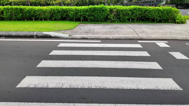 Pedestrian Crossing - White Stripes on Asphalt Road.