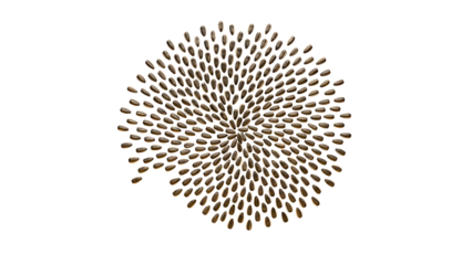 Radial Spiral Pattern of Small Brown Seeds Isolated on Transparent Background