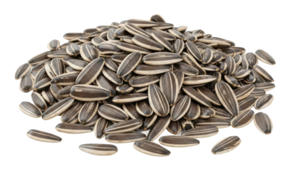 Harvesting sunflower seeds in a rustic farm isolated on transparent background