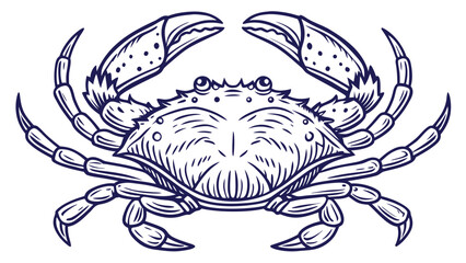 Fototapeta premium Detailed illustration of a blue crab with intricate linework showcasing its form and features silhouette