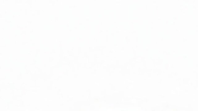 Animated Growth Sequence of Verdant Leafy Bushes on a Clean White Backdrop