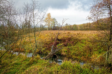 Small River in Rural Area in Late Autumn