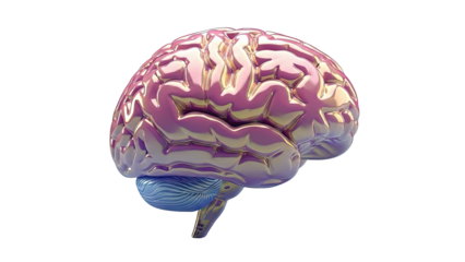 Metallic Brain Model with Cerebellum