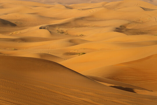 Sand dunes landscape in the Dubai desert UAE under sunlight