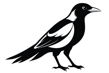 Fototapeta premium australian magpie silhouette line art vector illustration