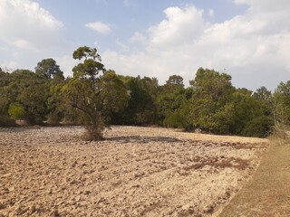 Areas that have been plowed under in preparation for cultivation.