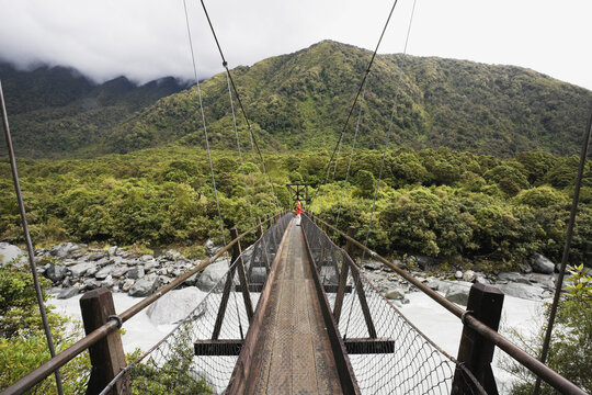 Person crossing swing bridge over Fox River in rainforest New Zealand