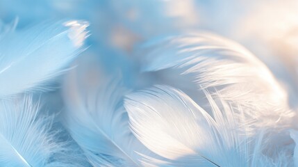 Fototapeta premium Soft white feathers spread across a light blue background during daylight
