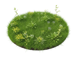Lush green grass with wildflowers nature scene circular layout isolated on transparent background