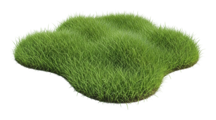 Lush green grass patch nature isolated on transparent background